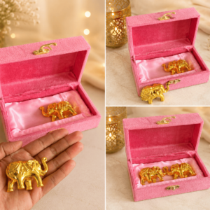 Mini Elephant Set